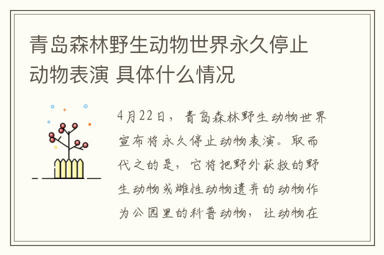 青岛森林野生动物世界永久停止动物表演 具体什么情况
