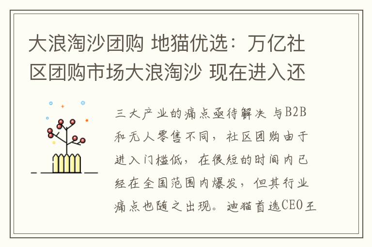 大浪淘沙团购 地猫优选：万亿社区团购市场大浪淘沙 现在进入还来得及吗？