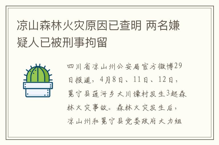 凉山森林火灾原因已查明 两名嫌疑人已被刑事拘留