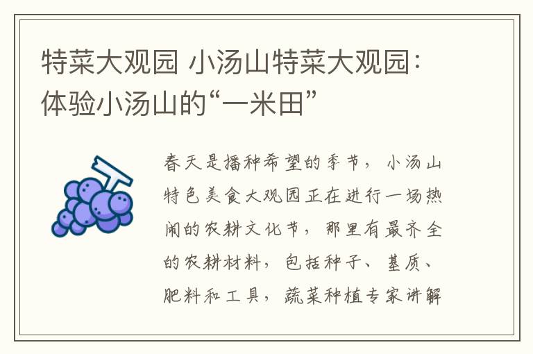 特菜大观园 小汤山特菜大观园：体验小汤山的“一米田”