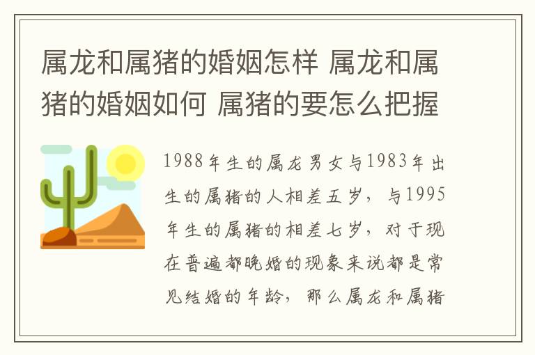 属龙和属猪的婚姻怎样 属龙和属猪的婚姻如何 属猪的要怎么把握自己的婚姻!