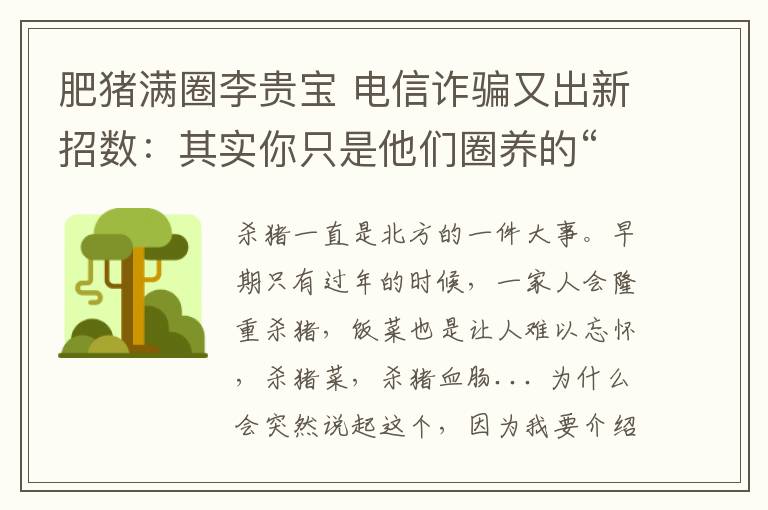 肥猪满圈李贵宝 电信诈骗又出新招数：其实你只是他们圈养的“肥猪”