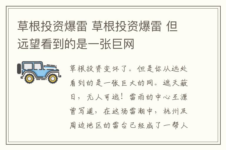 草根投资爆雷 草根投资爆雷 但远望看到的是一张巨网