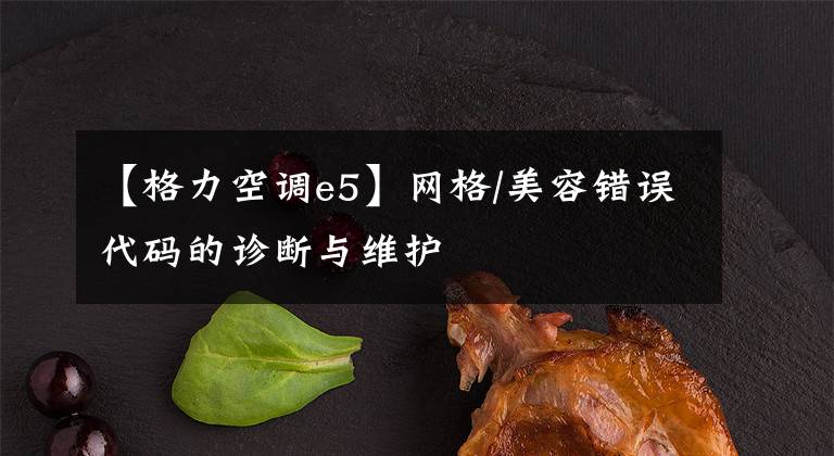 【格力空调e5】网格/美容错误代码的诊断与维护