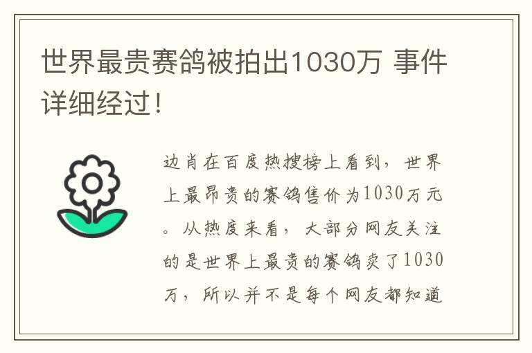 世界最贵赛鸽被拍出1030万 事件详细经过！