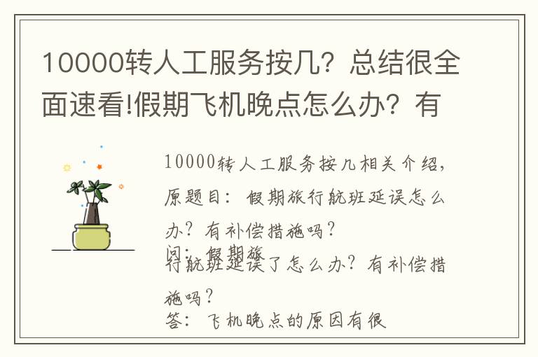 10000转人工服务按几？总结很全面速看!假期飞机晚点怎么办？有补偿措施吗？