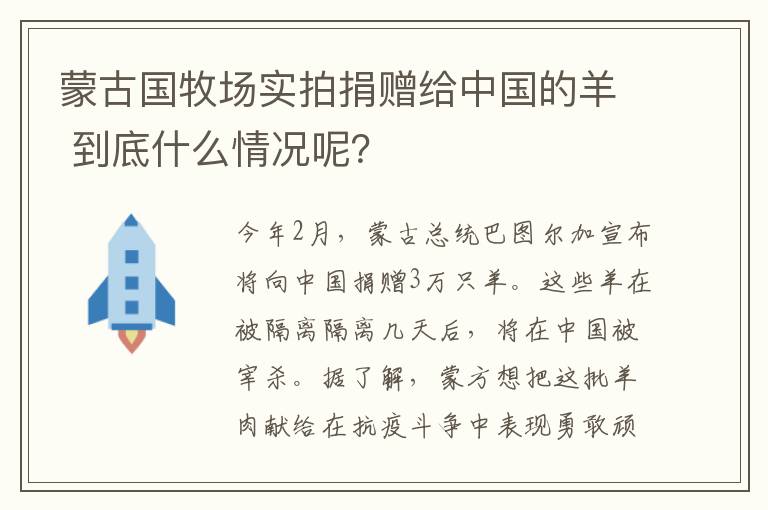 蒙古国牧场实拍捐赠给中国的羊 到底什么情况呢？