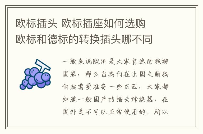 欧标插头 欧标插座如何选购   欧标和德标的转换插头哪不同