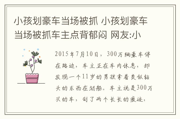 小孩划豪车当场被抓 小孩划豪车当场被抓车主点背郁闷 网友:小手轻轻一划父母哭晕在家