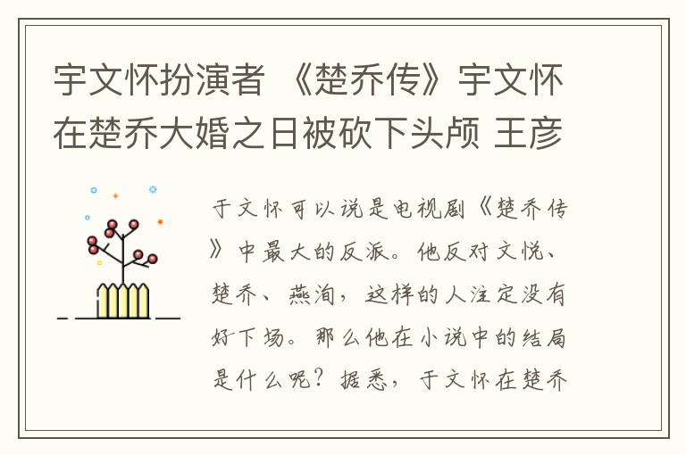 宇文怀扮演者 《楚乔传》宇文怀在楚乔大婚之日被砍下头颅 王彦霖戏拍完人格分裂