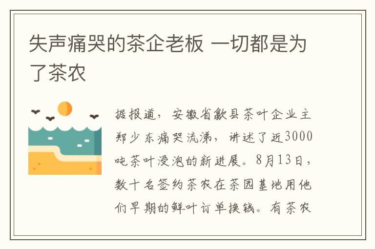 失声痛哭的茶企老板 一切都是为了茶农