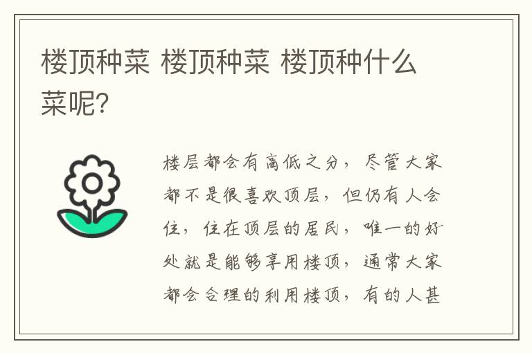 楼顶种菜 楼顶种菜 楼顶种什么菜呢？