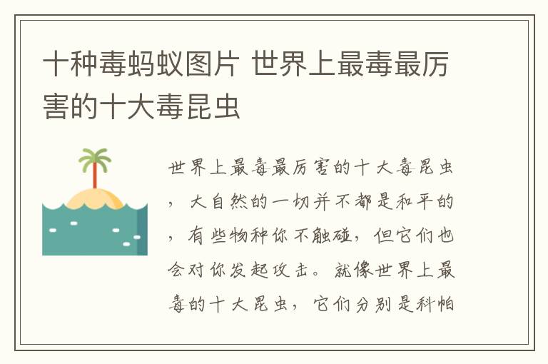 十种毒蚂蚁图片 世界上最毒最厉害的十大毒昆虫