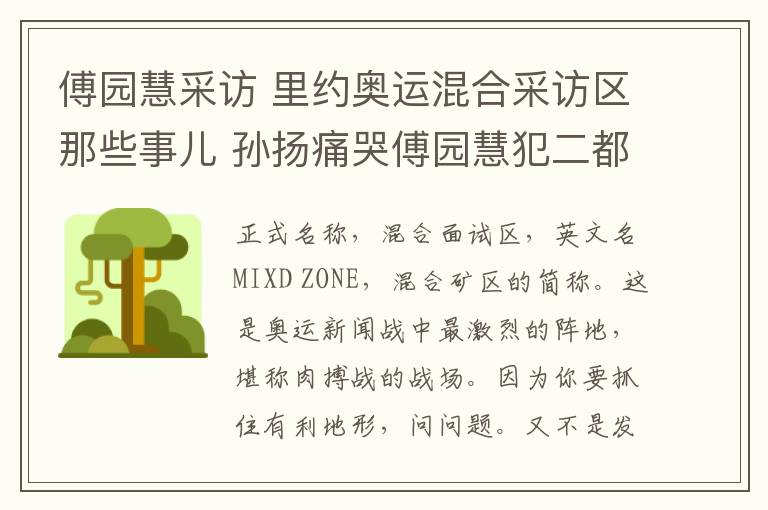 傅园慧采访 里约奥运混合采访区那些事儿 孙扬痛哭傅园慧犯二都是在这儿