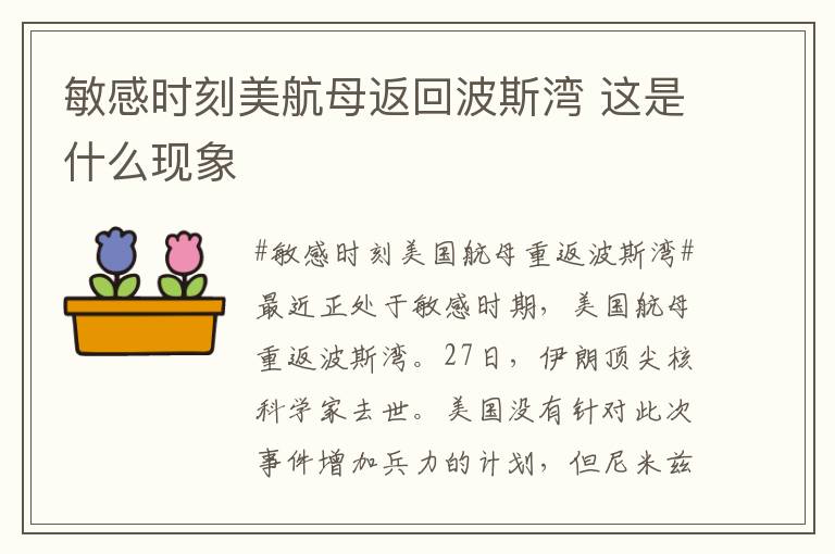 敏感时刻美航母返回波斯湾 这是什么现象