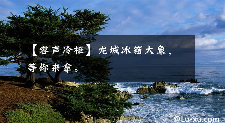 【容声冷柜】龙城冰箱大象，等你来拿。