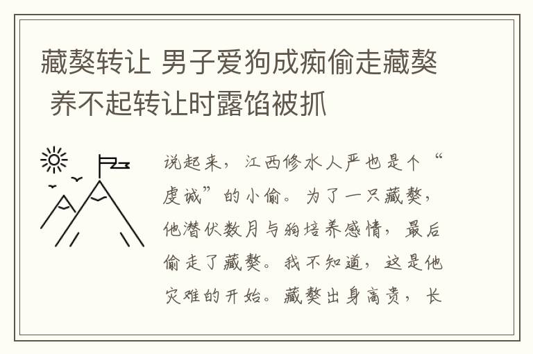 藏獒转让 男子爱狗成痴偷走藏獒 养不起转让时露馅被抓