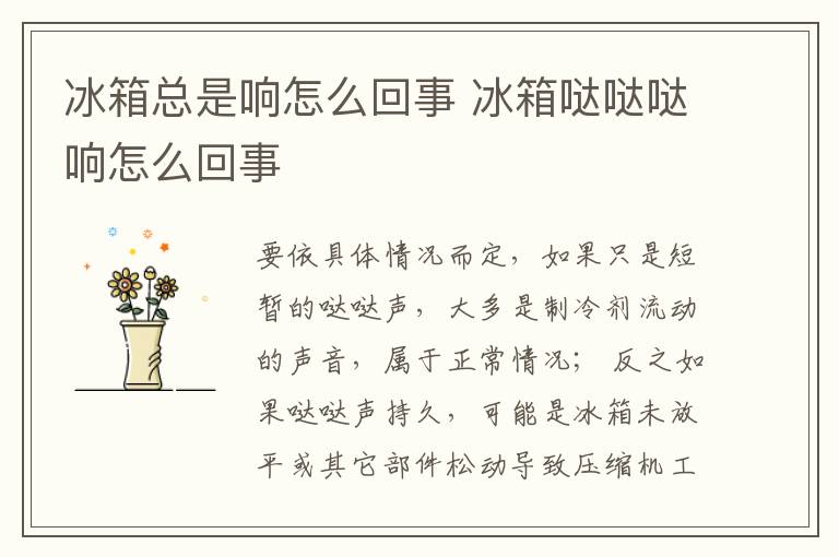 冰箱总是响怎么回事 冰箱哒哒哒响怎么回事