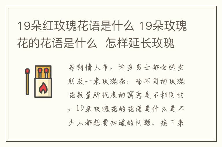 19朵红玫瑰花语是什么 19朵玫瑰花的花语是什么  怎样延长玫瑰花的保鲜时间