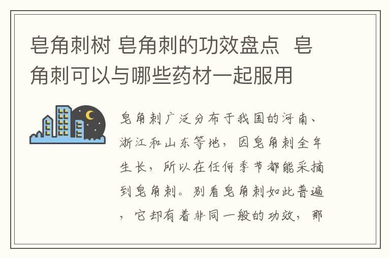 皂角刺树 皂角刺的功效盘点 皂角刺可以与哪些药材一起服用