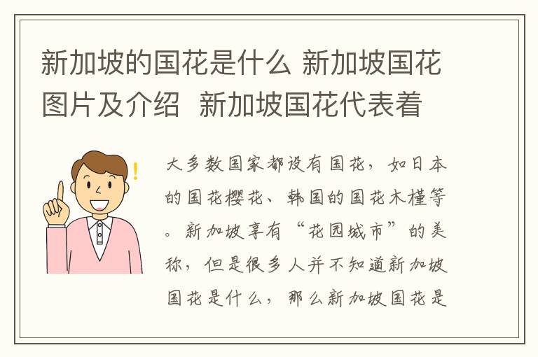 新加坡的国花是什么 新加坡国花图片及介绍 新加坡国花代表着哪些含义