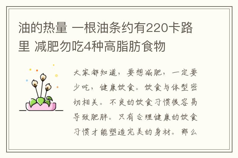 油的热量 一根油条约有220卡路里 减肥勿吃4种高脂肪食物