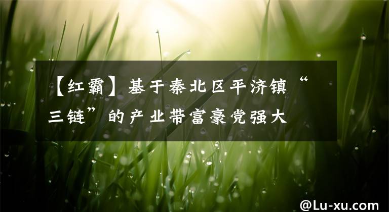 【红霸】基于秦北区平济镇“三链”的产业带富豪党强大