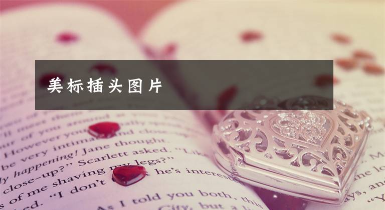 美标插头图片