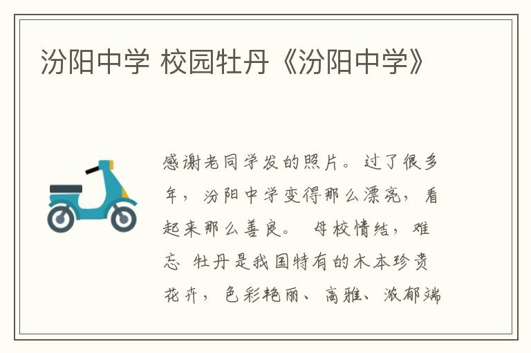 汾阳中学 校园牡丹《汾阳中学》