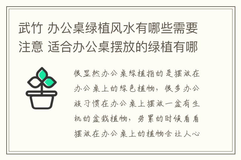 武竹 办公桌绿植风水有哪些需要注意 适合办公桌摆放的绿植有哪些