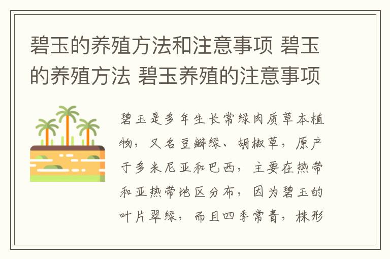 碧玉的养殖方法和注意事项 碧玉的养殖方法 碧玉养殖的注意事项