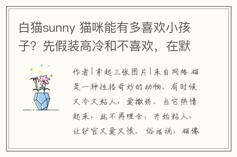 白猫sunny 猫咪能有多喜欢小孩子？先假装高冷和不喜欢，在默默做护宝使者