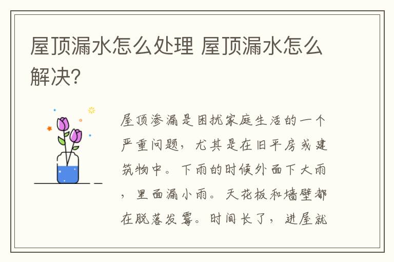 屋顶漏水怎么处理 屋顶漏水怎么解决？