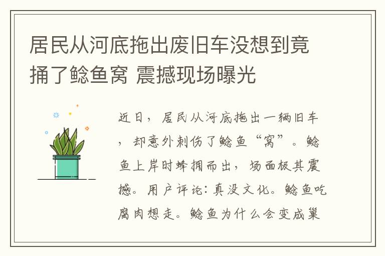 居民从河底拖出废旧车没想到竟捅了鲶鱼窝 震撼现场曝光