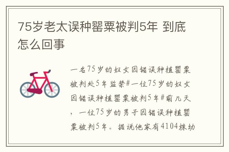 75岁老太误种罂粟被判5年 到底怎么回事