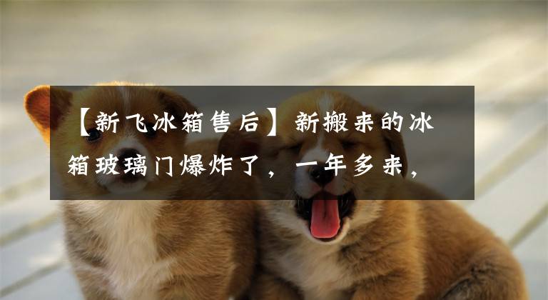 【新飞冰箱售后】新搬来的冰箱玻璃门爆炸了，一年多来，电灯还没有修好。