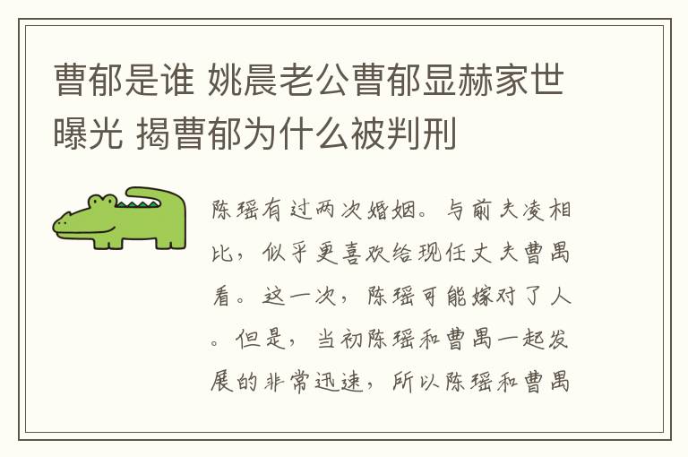曹郁是谁 姚晨老公曹郁显赫家世曝光 揭曹郁为什么被判刑