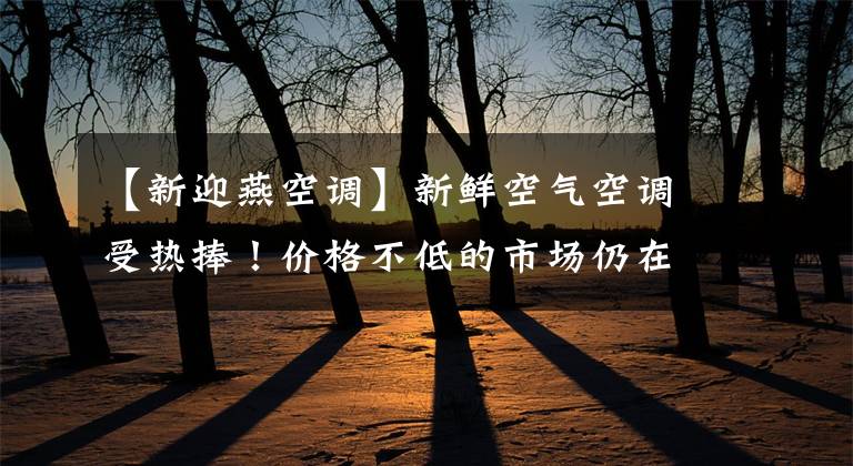 【新迎燕空调】新鲜空气空调受热捧！价格不低的市场仍在热卖，但效果令人质疑。