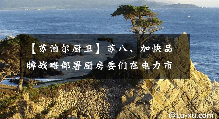 【苏泊尔厨卫】苏八、加快品牌战略部署厨房委们在电力市长/市场中的份额都在稳步提高。