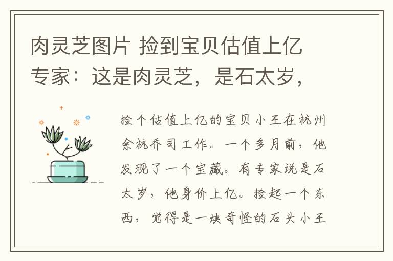 肉灵芝图片 捡到宝贝估值上亿 专家：这是肉灵芝，是石太岁，十万块一克！