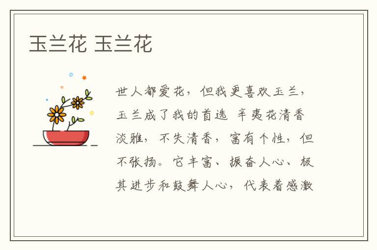 玉兰花 玉兰花