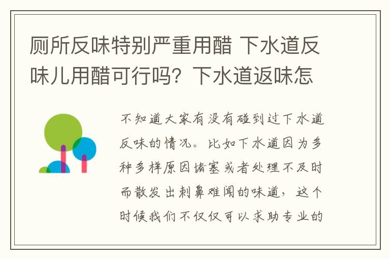 厕所反味特别严重用醋 下水道反味儿用醋可行吗？下水道返味怎么办?