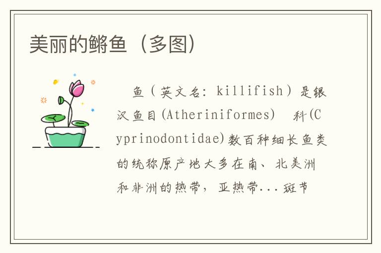 美丽的鳉鱼（多图）