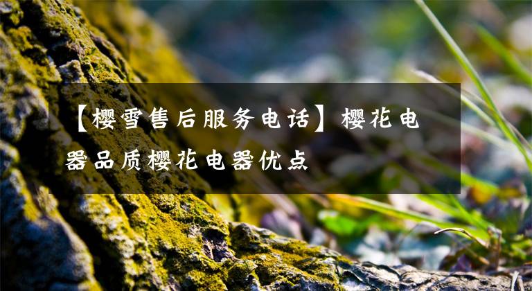 【樱雪售后服务电话】樱花电器品质樱花电器优点