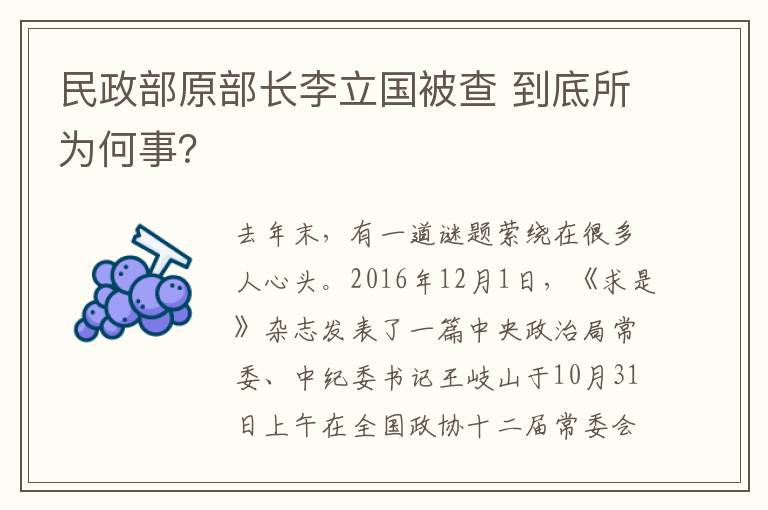 民政部原部长李立国被查 到底所为何事？