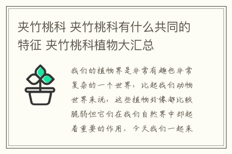 夹竹桃科 夹竹桃科有什么共同的特征 夹竹桃科植物大汇总