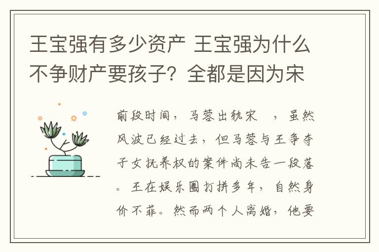 王宝强有多少资产 王宝强为什么不争财产要孩子？全都是因为宋喆的这几个表现！