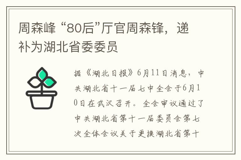 周森峰 “80后”厅官周森锋，递补为湖北省委委员