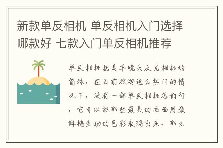 新款单反相机 单反相机入门选择哪款好 七款入门单反相机推荐