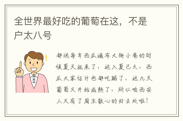 全世界最好吃的葡萄在这，不是户太八号